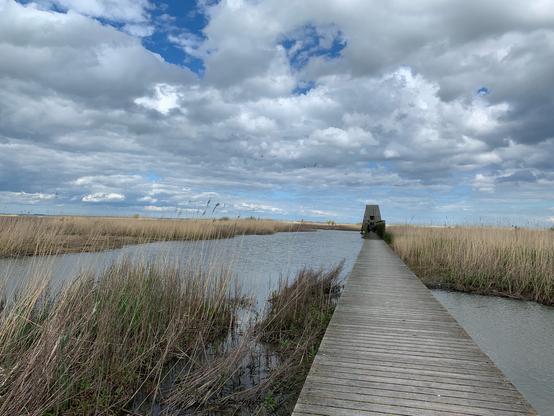 Marker Wadden, ein Steg führt über Wasser zwischen Gräsern auf einen Vogelbeobachtungspunkt zu. Wechselnd bewölkter Himmel.