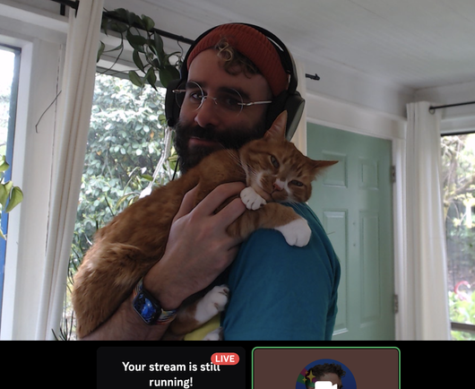 A screenshot of a Discord stream. The streamer, a bearded person, is holding an orange tabby who looks very content.