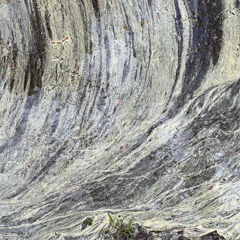 detail of the surface of a puddle. partly covered in yellow pollen gentle wind has created some wave like textures
