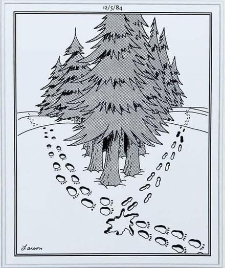 Along one side of a line of trees, we see bear prints. Along the other side we see human footprints. After the prints meet, there are only bear prints continuing.