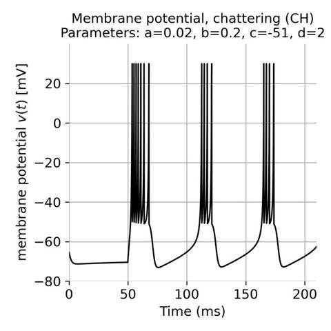 Chattering neurons, modeled with the Izhikevich model.