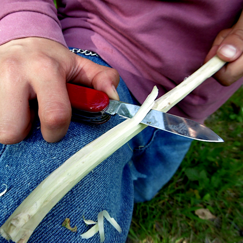 In Gropßaufnahme ist eine Kinderhand zu sehen, die ein Taschenmesser flach auf den Oberschenkel presst. Unter der Klinge des Messers zieht die andere hand einen Stab hindurch, so dass die Schneide einen langen Span abhobelt.