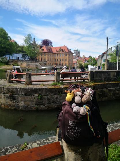 Im Vordergrund fünf Plüschies, die aus einem schwarzen Rucksack schauen, an einer Mauer vom Main-Donau-Kanal (rechts käme Schleuse 100), der hier in die Regnitz übergeht. Im Hintergrund die barocke Villa Concordia. Dazwischen Menschen, einige davon haben sich gerade mit einer Fähre die Regnitz überquert.