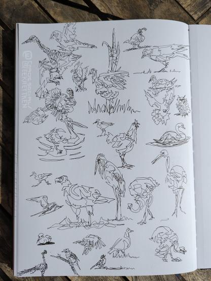 Black ink on paper.

Various sketches of birds, many done in one or just few lines.