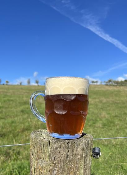 A 500ml of amber colored beer with 2.5cm foam head in a fence post with a green paddock and blue sky in the background