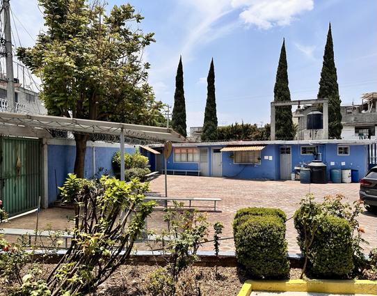 A sunny courtyard with trees, shrubs, and a blue single-story building, featuring a car parked to the right.