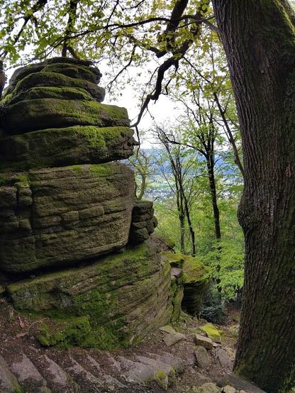 Blick vom Battert Richtung Baden Baden. Im Vordergrund ein bemooster Felsblock.

View from Battert towards Baden Baden. A mossy block of rock is in the foreground.