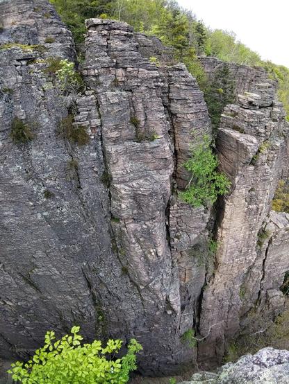 Battert - Bismarkmassiv: Route Altherrenweg in der Mitte.
