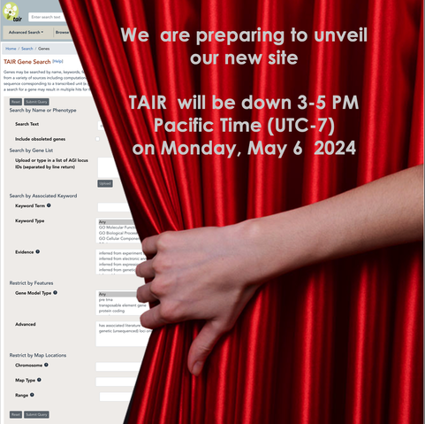 hand drawing back curtain on new TAIR website