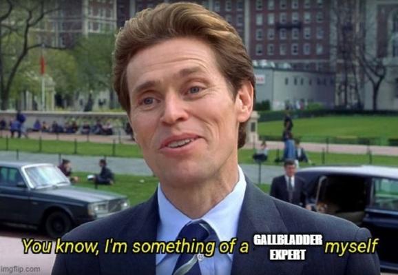 Meme template showing Willem Dafoe saying: "You know, I'm something of a Gallbladder Expert myself"

Disclaimer from Ryan: I am NOT an expert, I’m just a scientist with gallbladder issues who has read way too much about this stuff to satisfy my own anxiety/curiosity. Please talk to a doctor if you are having similar problems.