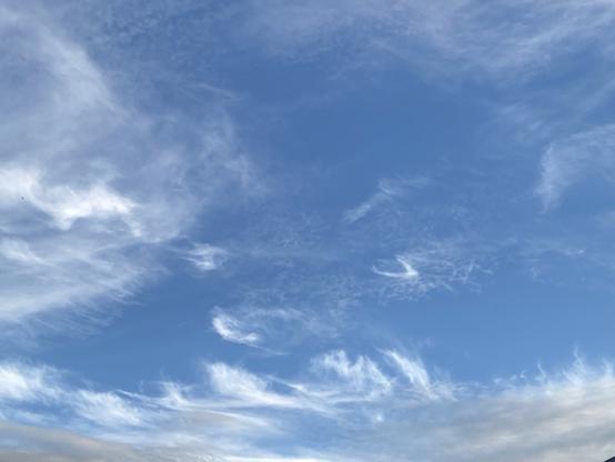 Photo of clouds shaping the blue sky into the face of a dog.