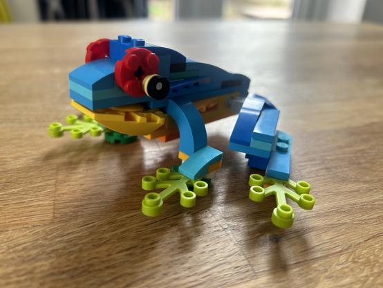A multicoloured Lego tropical tree frog.