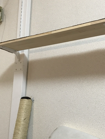 A newly made DIY cat walk on a white apartment wall