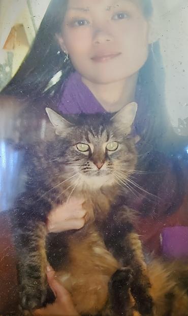 Me, holding my medium hair brown tabby cat.