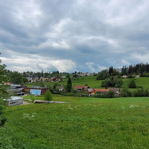 Von oberhalb der Wiese Blick auf einen Teil der Stadt