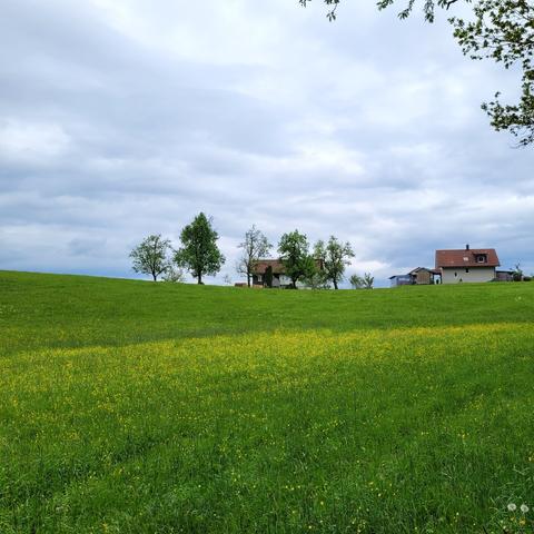 Wiese oben zwei Bauernhäuser