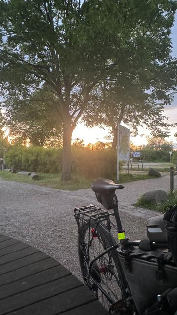 Hinterrad und Gepäckträger eines Fahrrades im Vordergrund und im Hintergrund sieht man die Abendsonne zwischen den Bäumen durch scheinen ￼