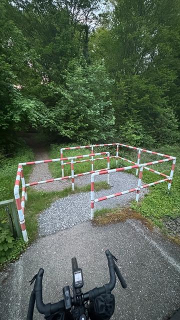 DrängelGitter über Schienen der deutschen Bahn mit einem Wald ￼