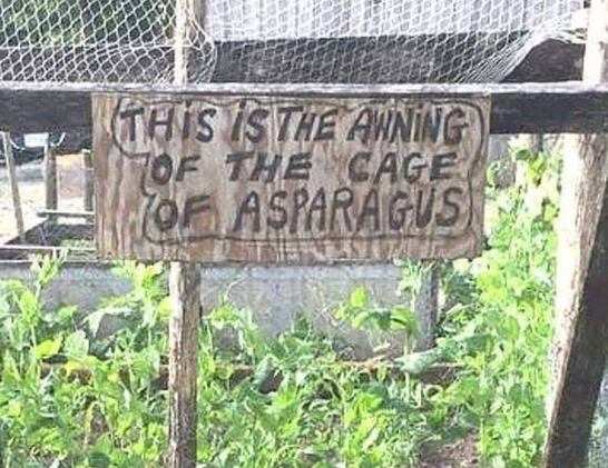 Wooden sign on the top frame of an asparagus patch reads:
This is the awning of the cage of asparagus.