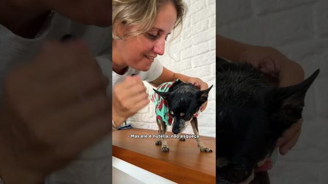 COMO VESTIR O VERDADEIRO PINSCHER NUTELLA