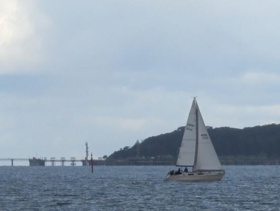 Sailing boat in botany bay rushing home on a cold rainy day