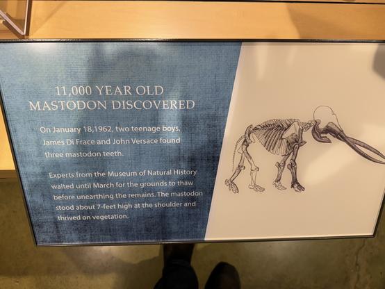 Informational display with text about an 11,000-year-old mastodon discovered by two teenagers in 1962, accompanied by an illustration of a mastodon skeleton.