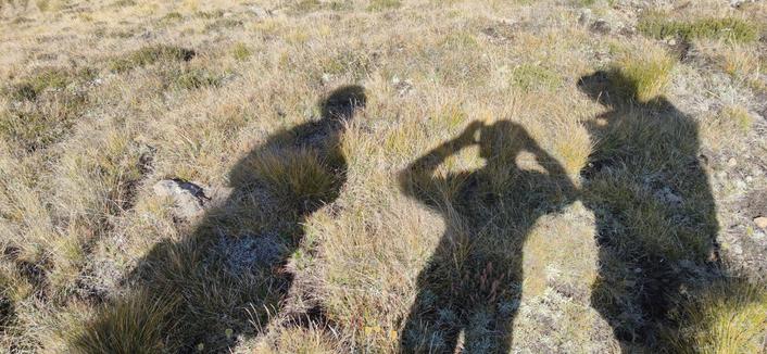 The shadows of three hikers projected onto an alpine grass landscape.