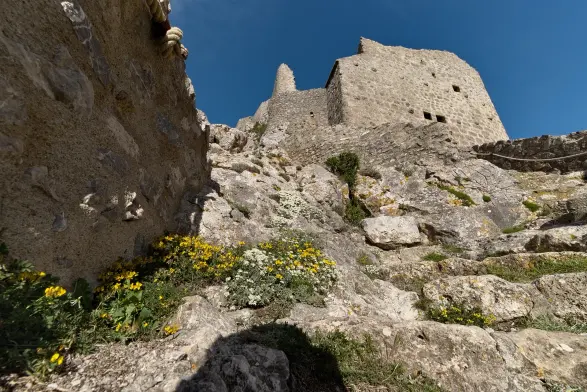Contre-plongée sur le chateau, perché sur les rochers. Au premier plan, des fleurs jaunes et blanches.