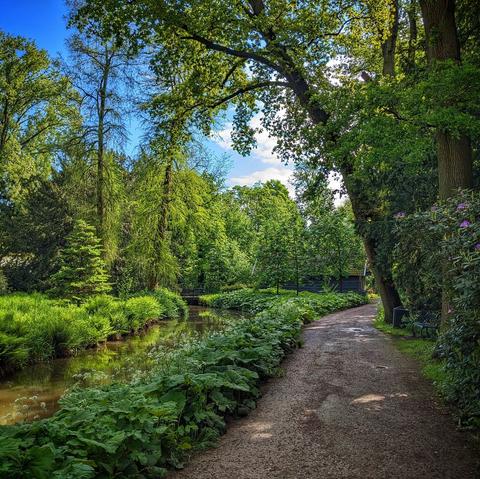 A canal and a path side by side leading away around a bend. There's fresh green trees on the other side of the canal and trees and bushes on the right side. All this under a bright blue sky