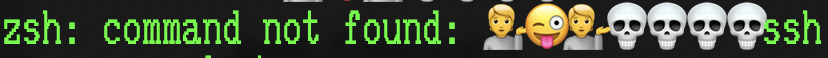 A load of emoji typed before ssh. The command was not found.