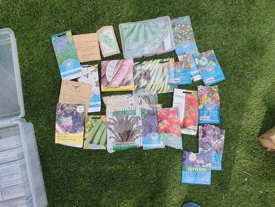 A photo of many seed packets laid out on the grass.