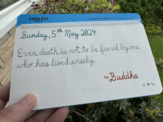 A pen quote of Buddha that reads, “Even death is not to be feared by one who has lived wisely.”  Written in Pelikan Edelstein Aquamarine, Wearingeul I am a Cat & Dominant Industry Ginger Chicken.