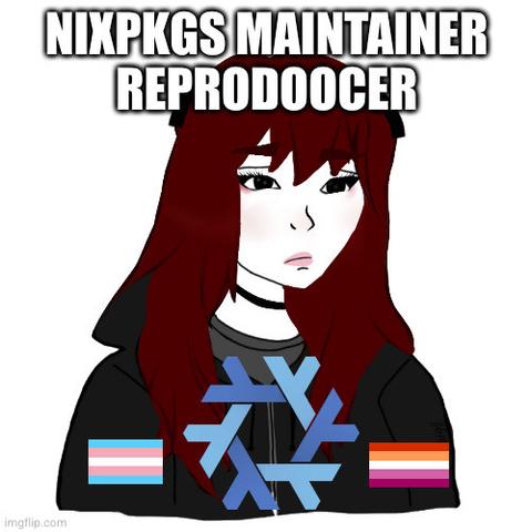 A cartoon brunette doomer in a black hoodie. Crudely placed on the jacket is the nix snowflake logo, and a trans and lesbian flag. The title is "NixPkgs maintainer reprodoocer"