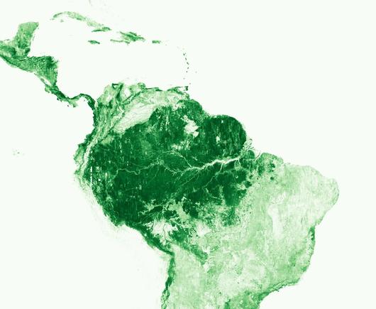 A map of the Central and northern South America's canopy height obtained from AI models analyzing high resolution satellite imagery. All canopy height data and artificial intelligence models are free and publicly available for commercial use.