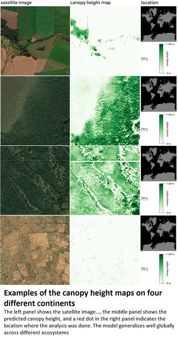 maps - Examples of the canopy height maps on four different continents. The left panel shows the satellite image..., the middle panel shows the predicted canopy height, and a red dot in the right panel indicates the location where the analysis was done. The model generalizes well globally across different ecosystems