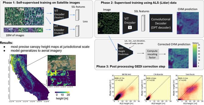 graphical abstract - Very high resolution canopy height maps from RGB imagery using self-supervised vision transformer and convolutional decoder trained on aerial lidar