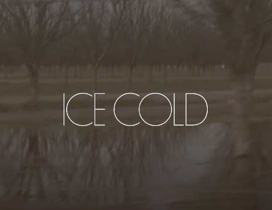 ICE COLD