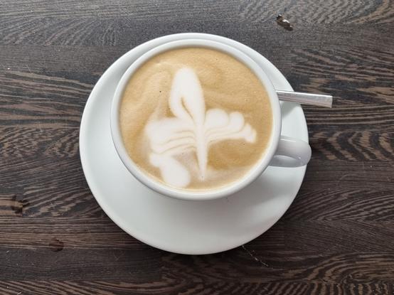 Cappuccinotasse mit einer Blume erkennbar im Milchschaum