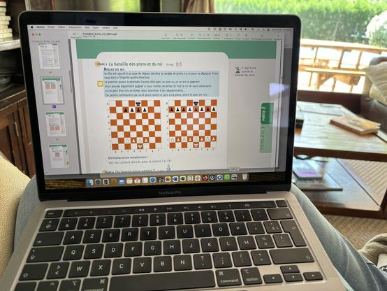 Capture d'écran d'un ordinateur où l'on voit une page d'ouvrage en cours de relecture / correction
