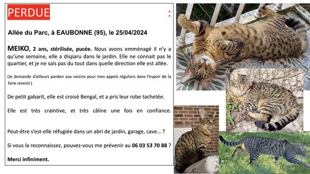 Affichette pour un chat perdu : 

« PERDUE
Allée du Parc, à EAUBONNE (95), le 25/04/2024

MEIKO, 2 ans, stérilisée, pucée. Nous avons emménagé il n'y aqu'une semaine, elle a disparu dans le jardin. Elle ne connait pas lequartier, et je ne sais pas du tout dans quelle direction elle est allée.

(Je demande d'ailleurs pardon aux voisins pour mes appels réguliers dans l'espoir de la faire revenir.)

De petit gabarit, elle est croisé Bengal, et a pris leur robe tachetée.

Elle est très craintive, et très câline une fois en confiance.

Peut-être s'est-elle réfugiée dans un abri de jardin, garage, cave... ?

Si vous la reconnaissez, pouvez-vous me prévenir au 06 03 53 70 88 ?

Merci infiniment.