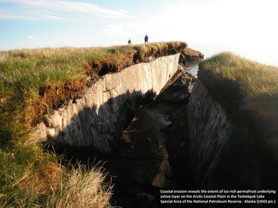 photo - Erosion reveals ice-rich permafrost near Teshekpuk Lake, Alaska.