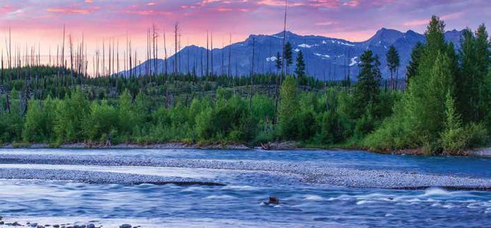 North Fork of the Flathead River - ©Mark LaRowe