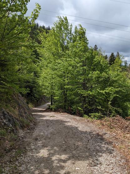 Sehr steile und kiesige Abfahrt der alten Kesselbergstraße.