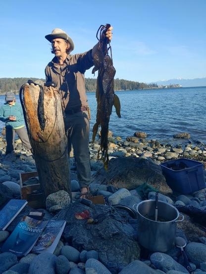Tom, standing on oceanfront rocky beach, with crates, big pot, some seaweed guide books, in front of makeshift driftwood podium stand & holding up large piece of bull kelp seaweed.