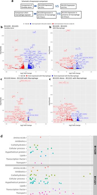 Plot of differentially expressed genes of Candida strains when in the presence of the macrophage.