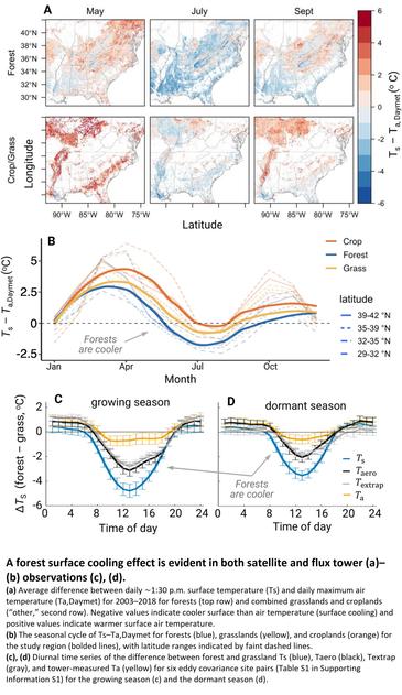 maps and charts - A forest surface cooling effect is evident in both satellite and flux tower (a)–(b) observations (c), (d).