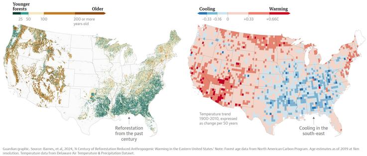 maps - Guardian graphic. Source: Barnes, et al, 2024, ‘A Century of Reforestation Reduced Anthropogenic Warming in the Eastern United States.’ Note: Forest age data from North American Carbon Program. Age estimates as of 2019 at 1km resolution. Temperature data from Delaware Air Temperature & Precipitation Dataset.