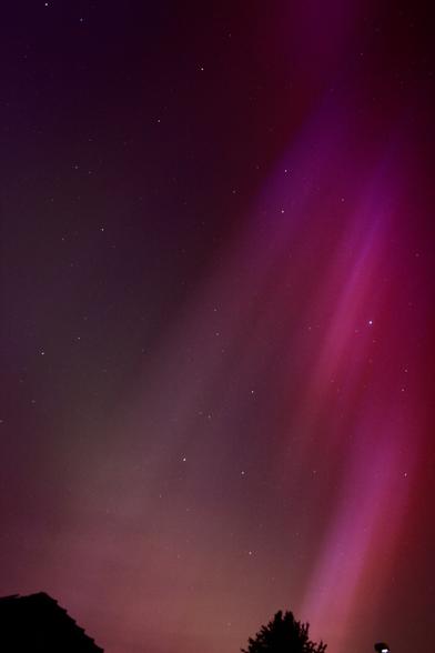 Red/Purple Aurora Borealis over silhouetted tops of a house and a tree.