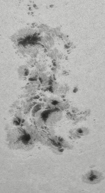 Close-up picture of a region in the solar surface covered with sunspots, irregular looking with dark centers and spaghetti-like structures reaching from the center to the borders. The surrounding region is covered with solar granules.