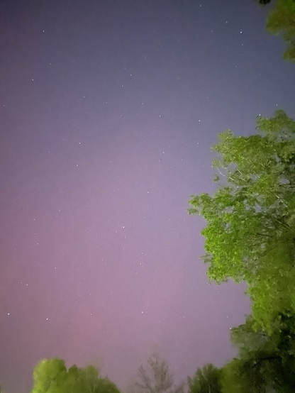 Night sky in a reddish color with a tree on the right side of the picture